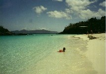 ���������ł������l�����Ȃ�