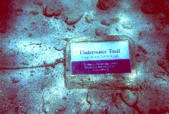 ���t�߂ɂ̓V���m�[�P�����O�̃R�[�X������A�C���ɕW������܂�