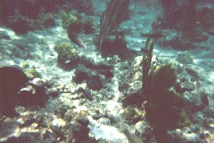 ���ɂ������͐ς��Ă��܂�