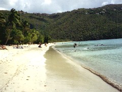 ������ł̓_���g�c�ɍL���r�[�`�ł�