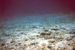 �����͗��ꂪ�����̂ŁA�C��ɂ͍��͂���܂���